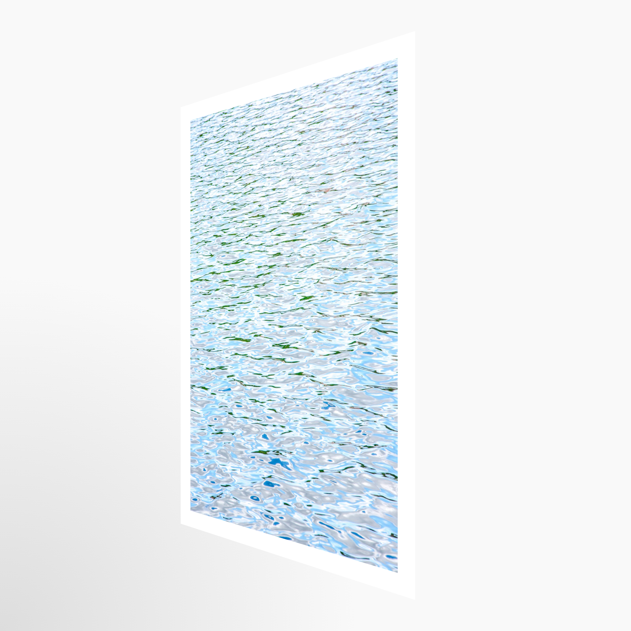 16x24 / Print / None