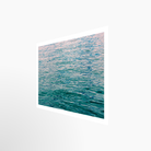 16x24 / Print / None