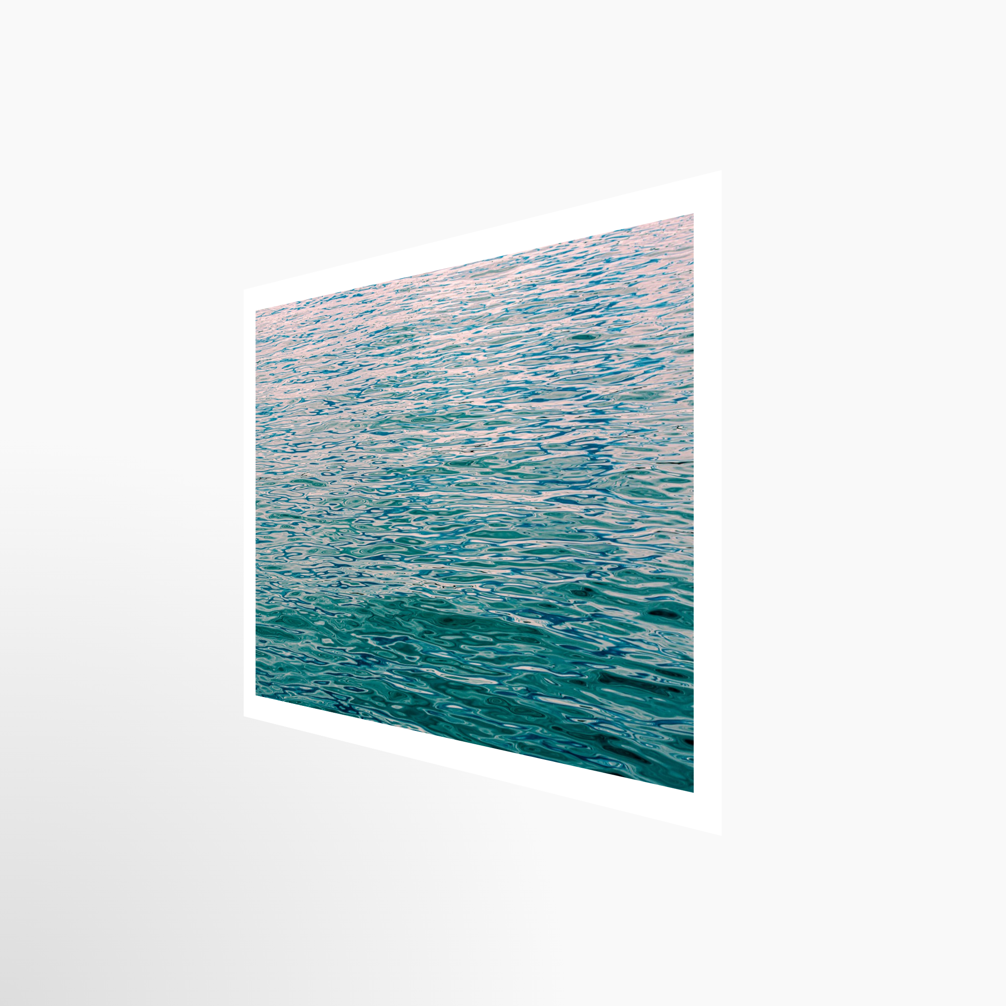 16x24 / Print / None