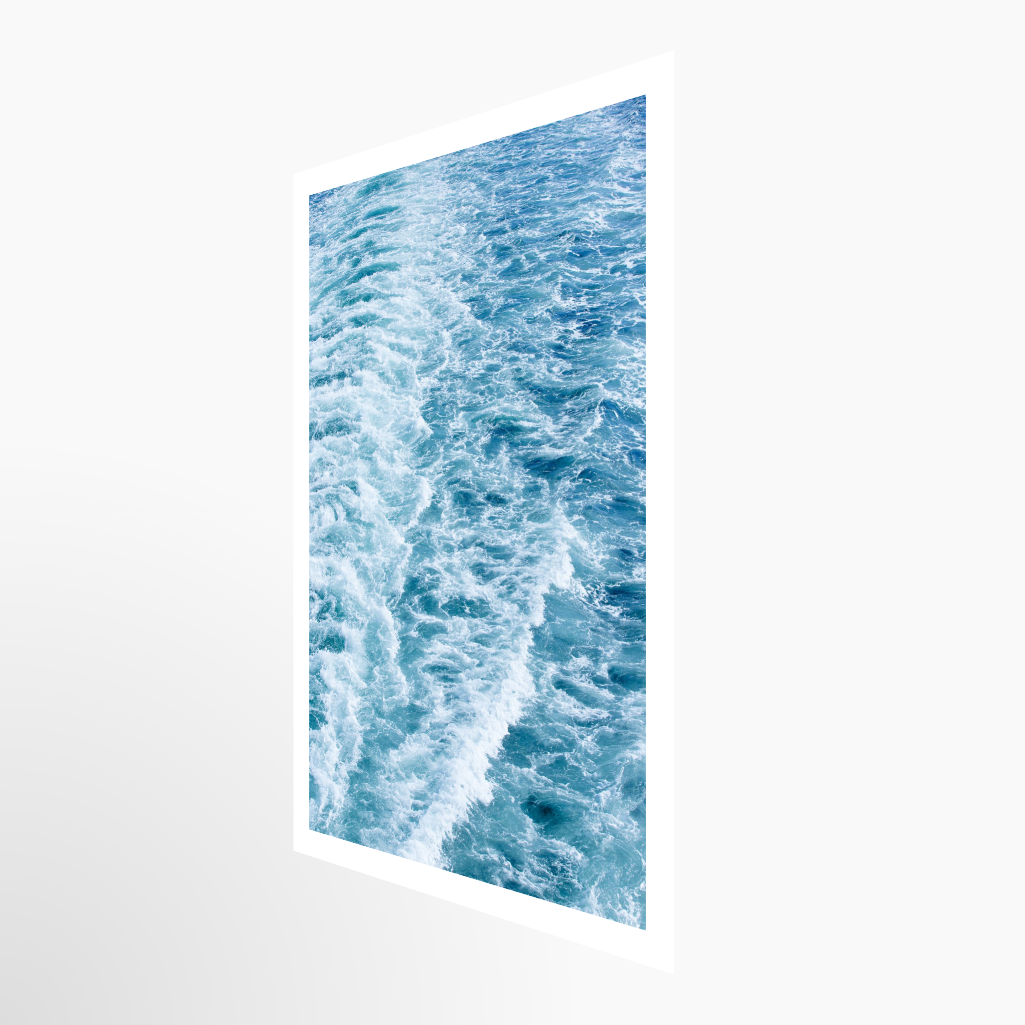 16x24 / Print / None