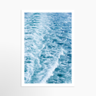 16x24 / Print / None