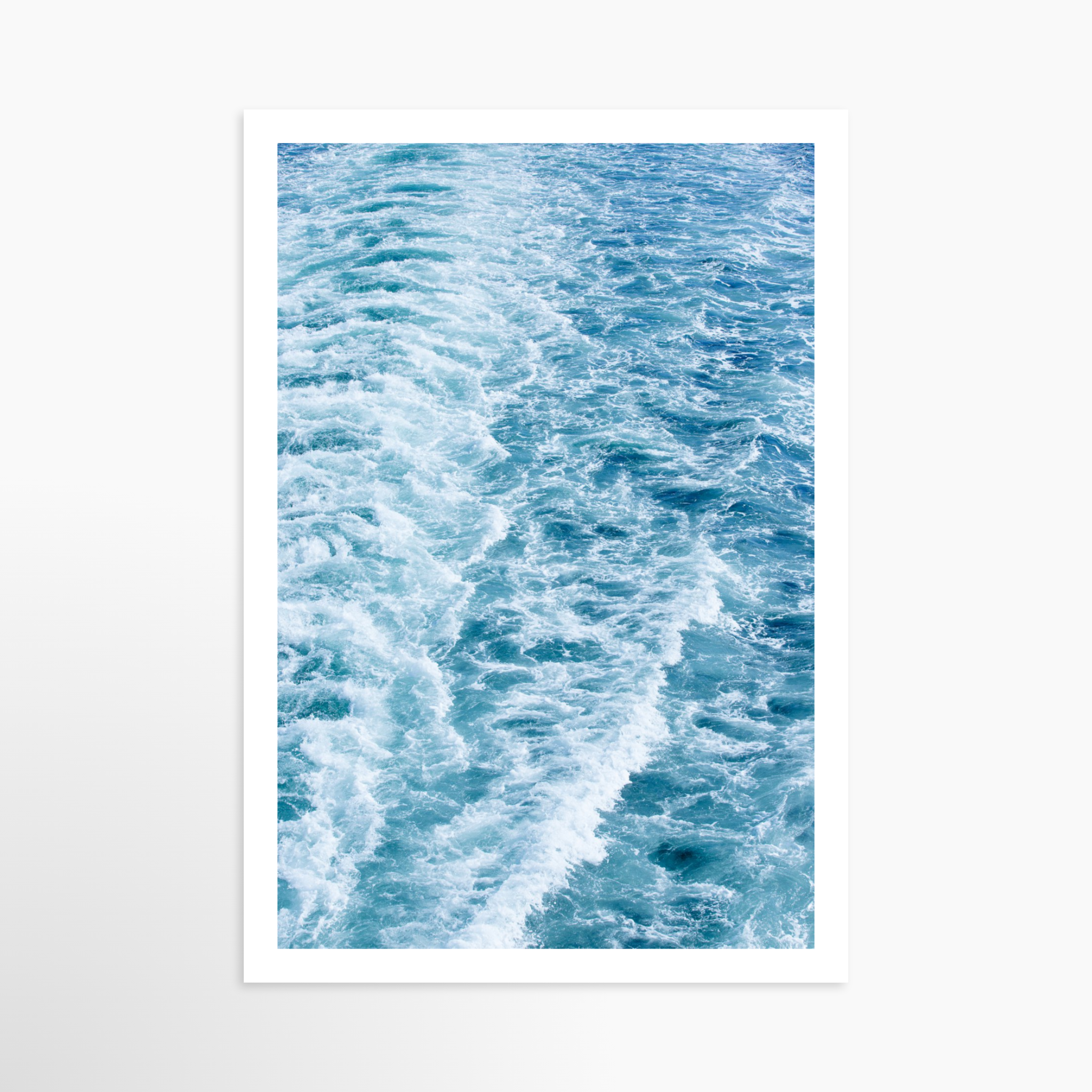 16x24 / Print / None