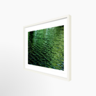 16x24 / Print / White