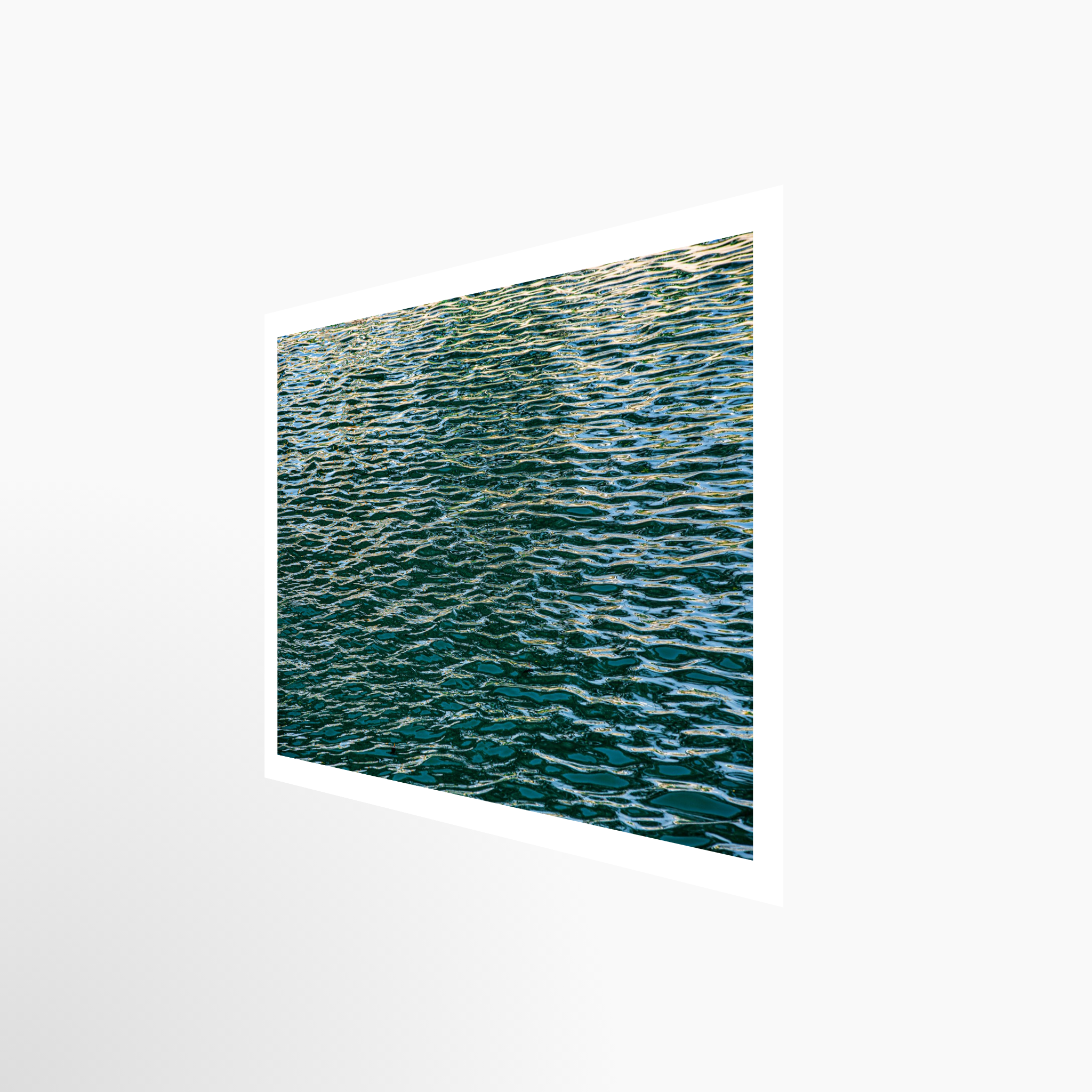 16x24 / Print / None