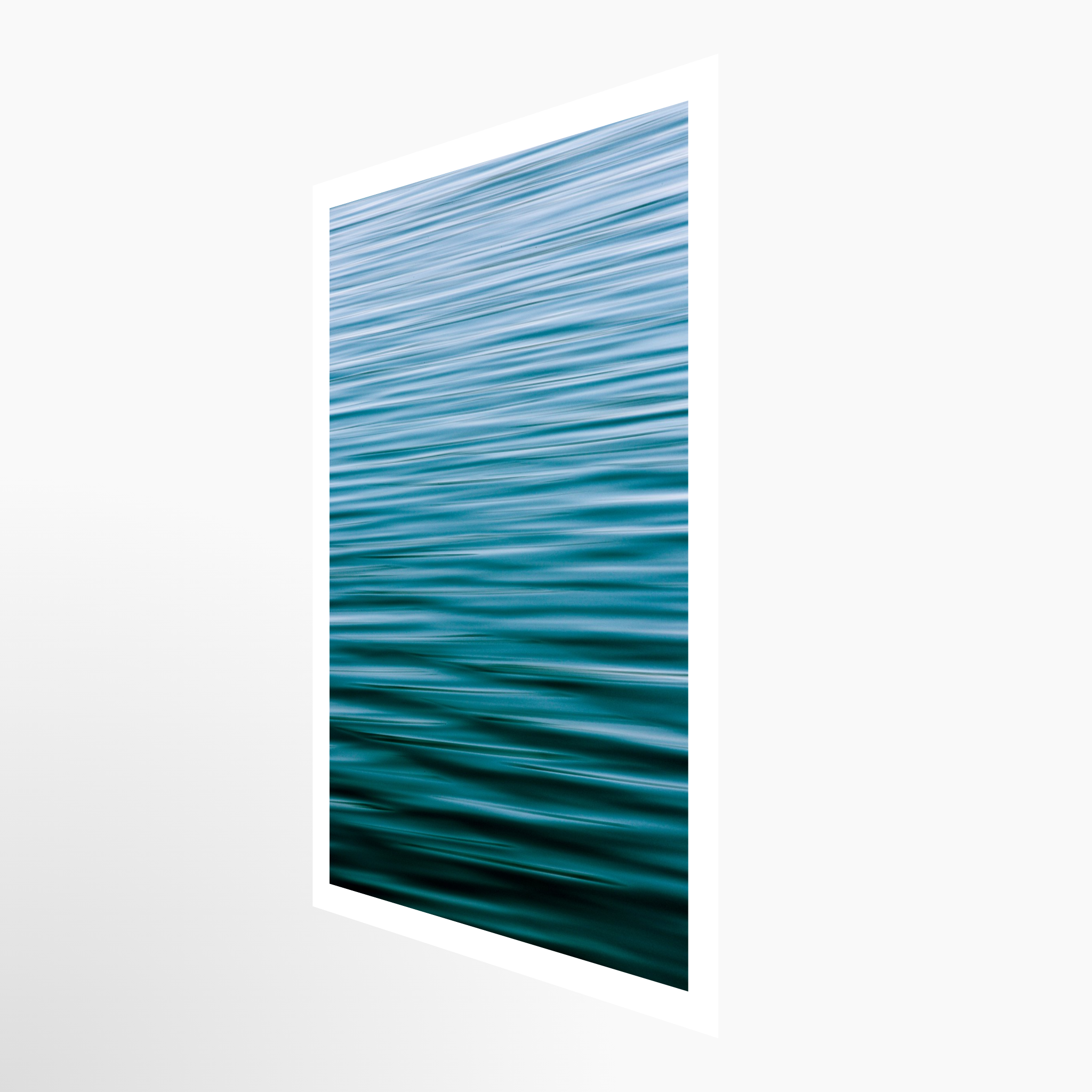 16x24 / Print / None