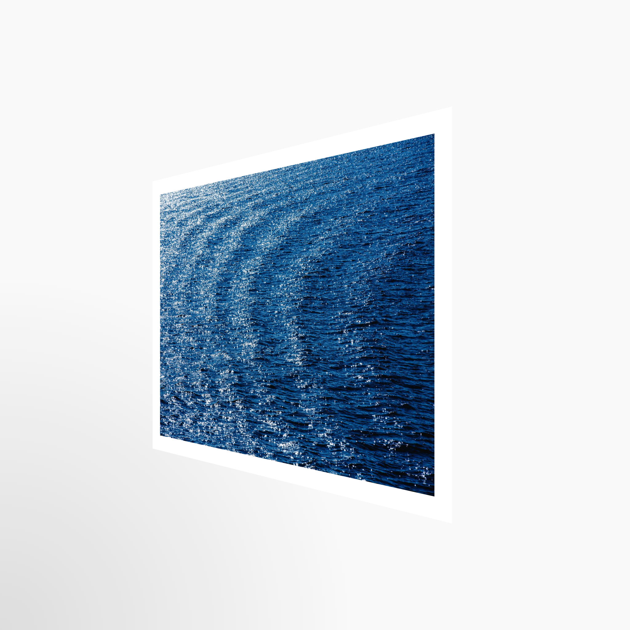 16x24 / Print / None