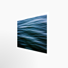 16x24 / Print / None