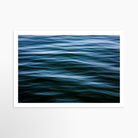 16x24 / Print / None